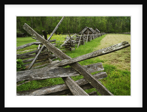 Pioneer Homestead Exhibit at Great Smoky Mountains National Park by Anonymous