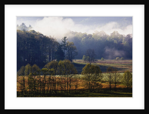Fog Lifting from Cades Cove by Anonymous