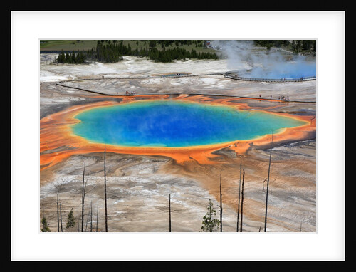 Grand Prismatic Spring by Anonymous