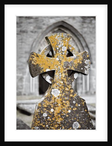 Stone Cross at St. Canice's Cathedral by Anonymous
