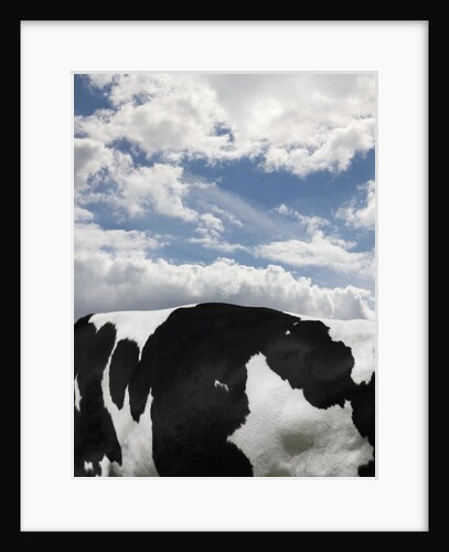 Cow and Sky Patterns by Anonymous