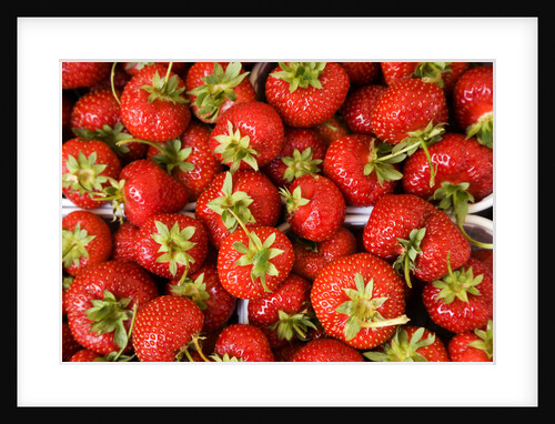 Strawberries by Anonymous