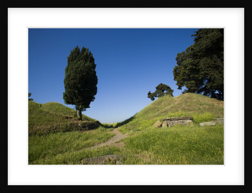 Via Appia by Anonymous