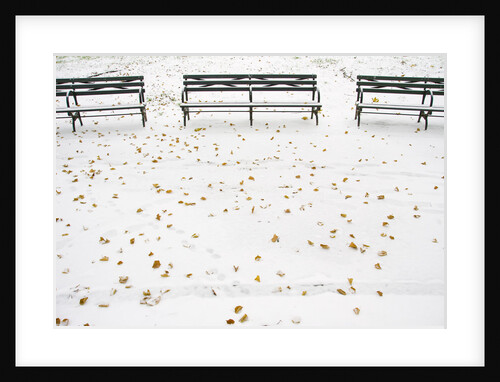 Park in Winter by Anonymous