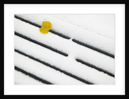 Yellow Leaf on Snow by Anonymous