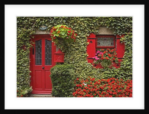 Ivy-Covered Cottage in Borris by Anonymous