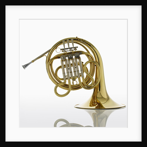 French Horn by Anonymous