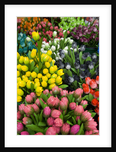 Tulips for Sale at the Bloemenmarkt by Anonymous