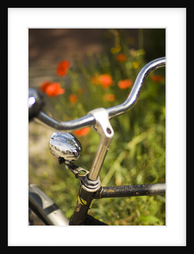 Old Bicycle and Flowers by Anonymous