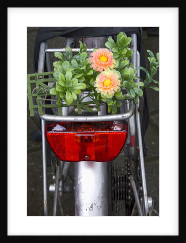 Bicycle with Flowers by Anonymous
