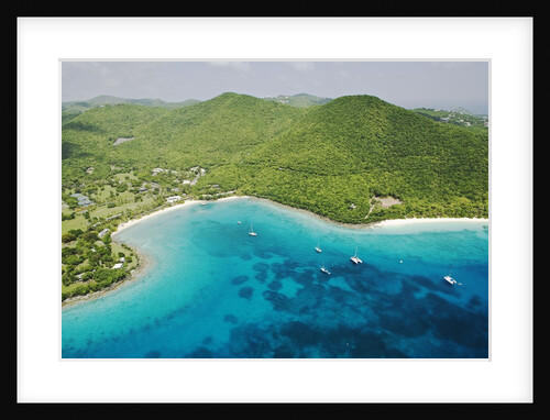 Aerial View of Caneel Bay Resort on St. John by Anonymous