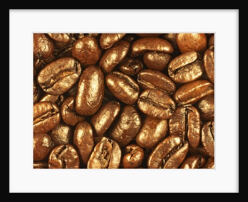 Beaned by Nathan Griffith