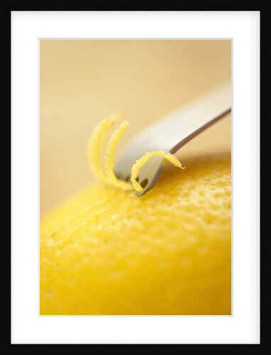 Lemon Zester on Lemon by Anonymous
