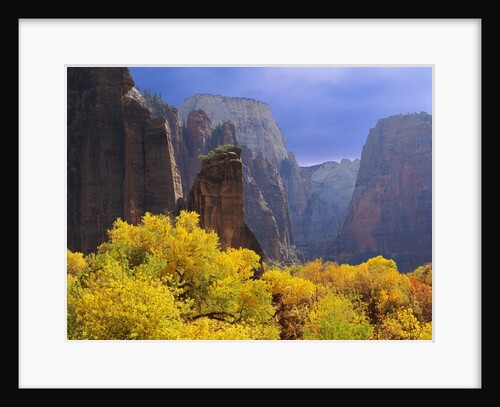 Zion National Park by Anonymous