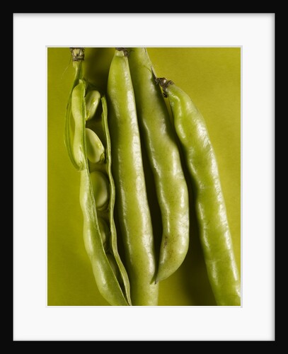 Broad Beans by Anonymous
