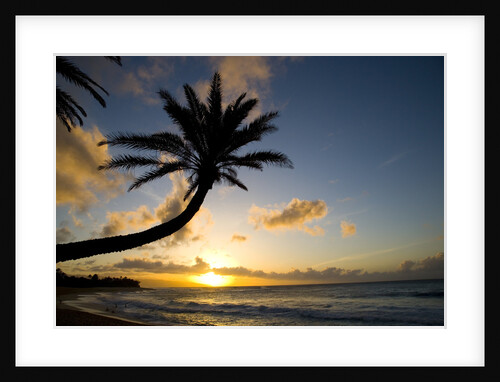 Sunset on Oahu's North Shore by Anonymous