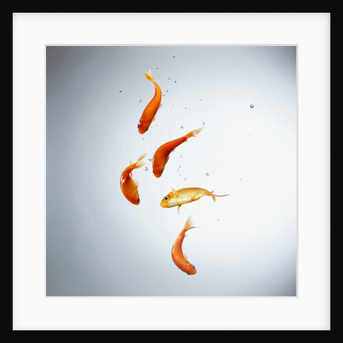Five goldfish swimming with bubbles by Anonymous