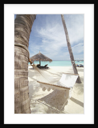 Hammock on the beach by Anonymous