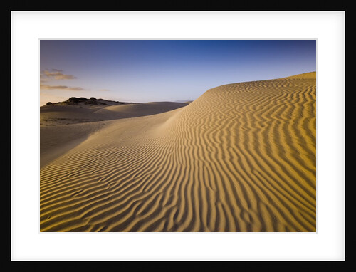 Sand Dunes of Isla Magdalena by Anonymous