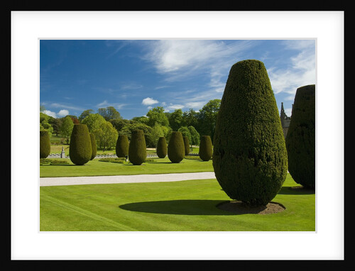 Gardens on the Estate of Lanhydrock by Anonymous