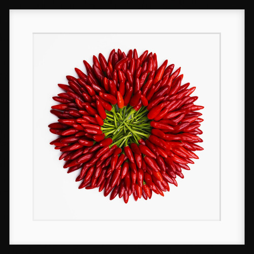 Chili peppers by Anonymous