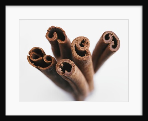 Cinnamon sticks by Anonymous