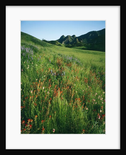 Malibu Creek State Park by Anonymous