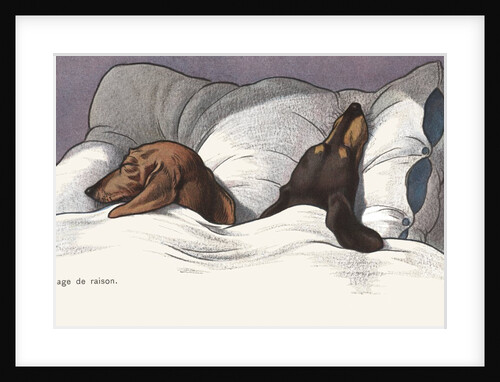Mariage de Raison Postcard with Sleeping Dogs in Bed by Anonymous