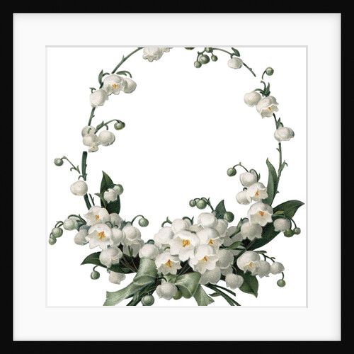 Illustration of White Flower Border by Anonymous