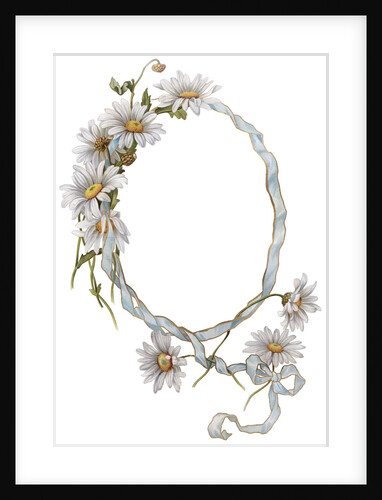 Illustration of Daisy Border with Ribbon by Anonymous