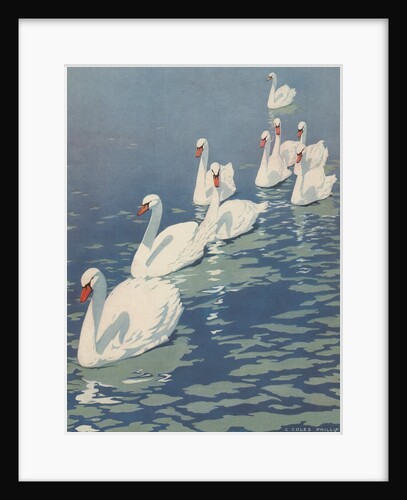 Illustration of Flock of Swans by Coles Phillips