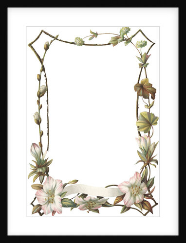 Illustration of Pink and White Flower Border by Anonymous