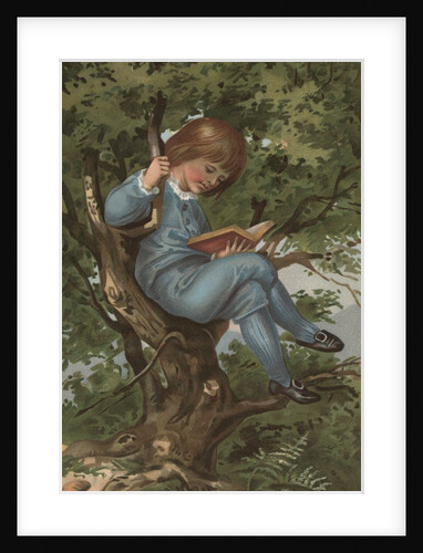 Postcard of Boy Reading in Tree by Anonymous