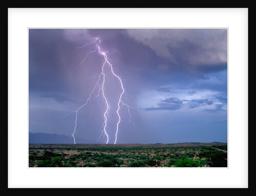 Lightning Strike near Tucson by Anonymous