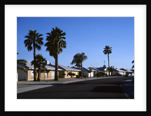 1980s Desert Forest Circle Sun City Arizona Usa by Anonymous
