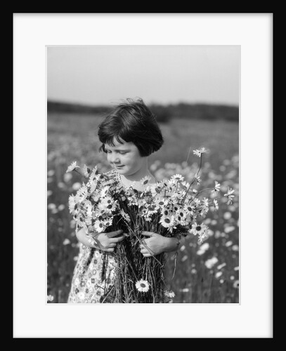 1920s Girl In Meadow Holding Bunch Of Daisies by Anonymous