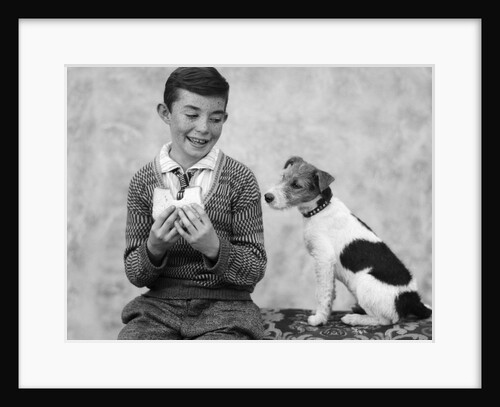 1920s 1930s Boy Eating Sandwich As Dog Stares At Food by Anonymous