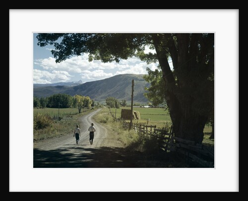 1960s Two Boys Brothers Walking Together Down A Summertime Farm Country Road by Anonymous