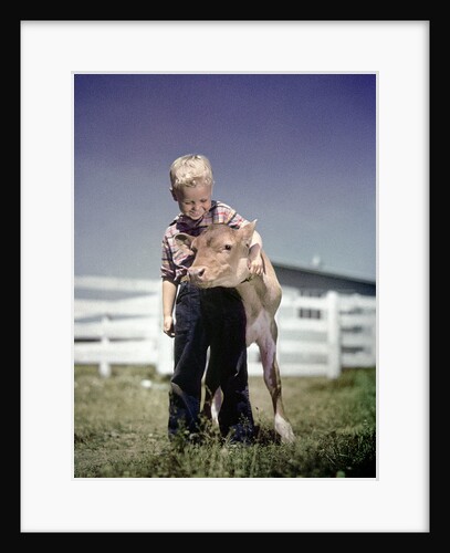 1940s 1950s Little Boy Hugging Pet Calf by Anonymous