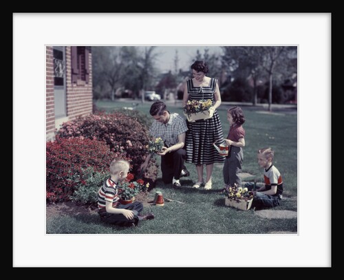 1950s Suburban Family Gardening Together In The Springtime by Anonymous