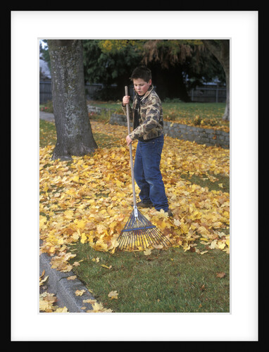 1970s 1980s Teenage Boy Raking Autumn Leaves by Anonymous