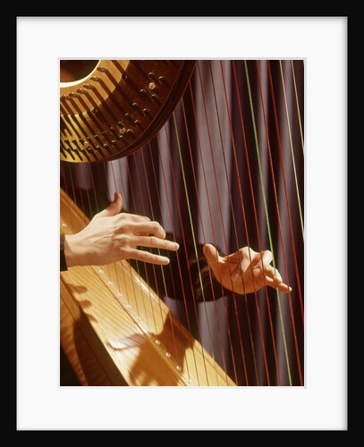 1960s Musical Instrument Detail Hands Plucking Playing Harp Strings by Anonymous