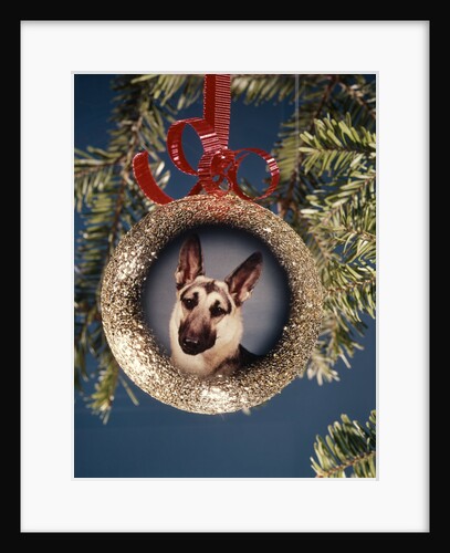 1960s 1970s Picture German Shepherd Dog On Christmas Tree Ornament by Anonymous