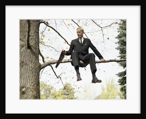 1960s Man In Tree Sawing Off The Branch He Is Sitting On by Anonymous