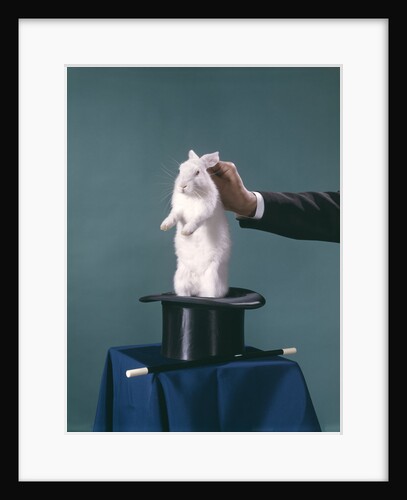 White Rabbit Being Pulled Out Of Silk Top Hat By Hand Of Magician by Anonymous