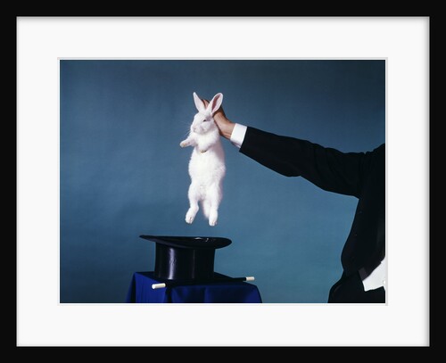 Hand Of Magician Pulling White Rabbit Out Of Black Silk Top Hat by Anonymous