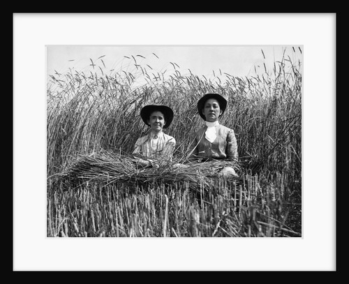 1900 Two Women In Middle Of High Wheat Field by Anonymous