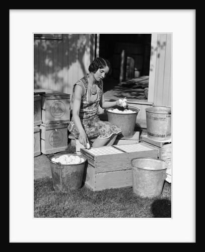1930s Woman Farm Wife Sitting Outside Of Hen House Doorway Putting Eggs From Pails Into Shipping Crates by Anonymous