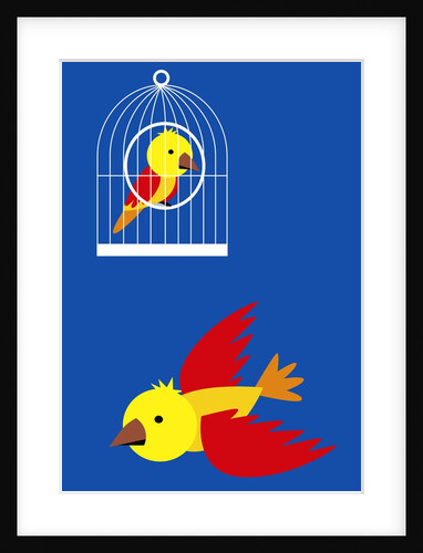 bird in cage, flying bird by Anonymous
