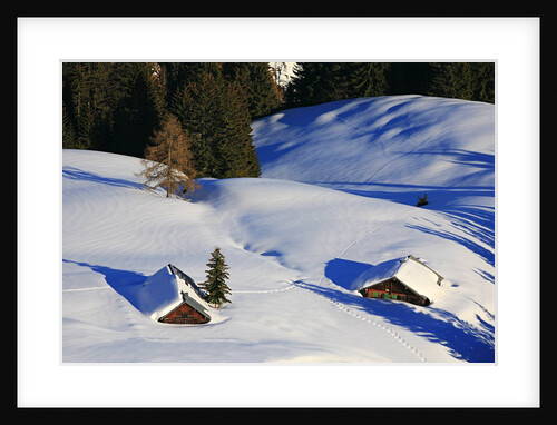 Cabins Nearly Covered in Snow in the German Alps by Anonymous